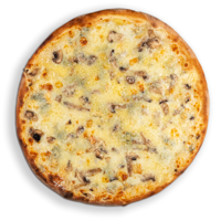 Funghi Formaggi Pizza
